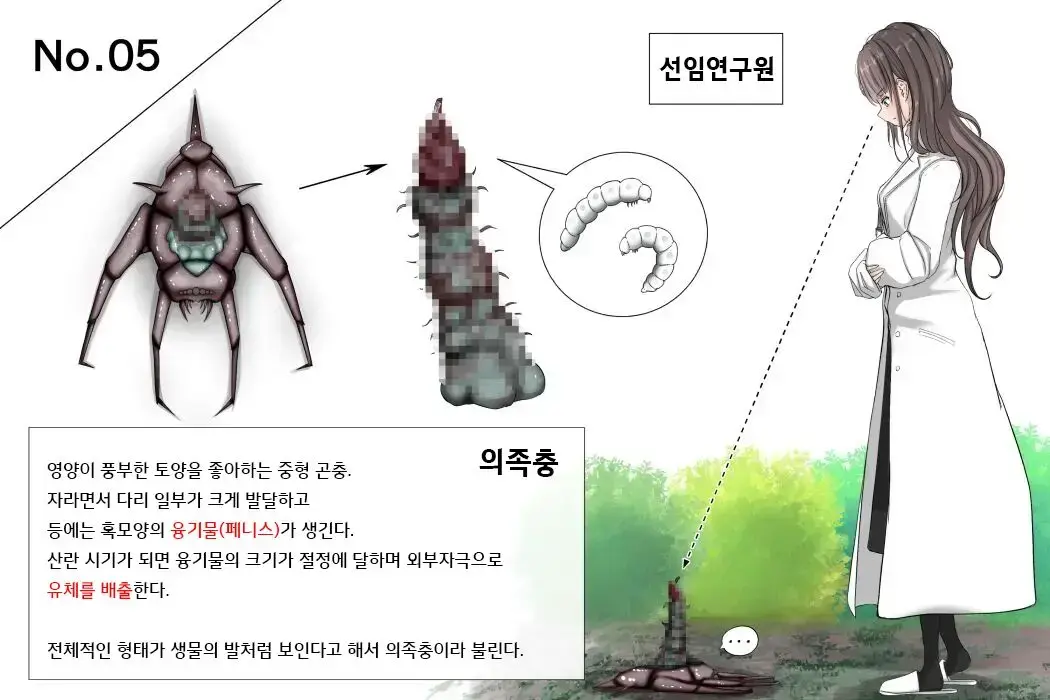 Insect Research Report